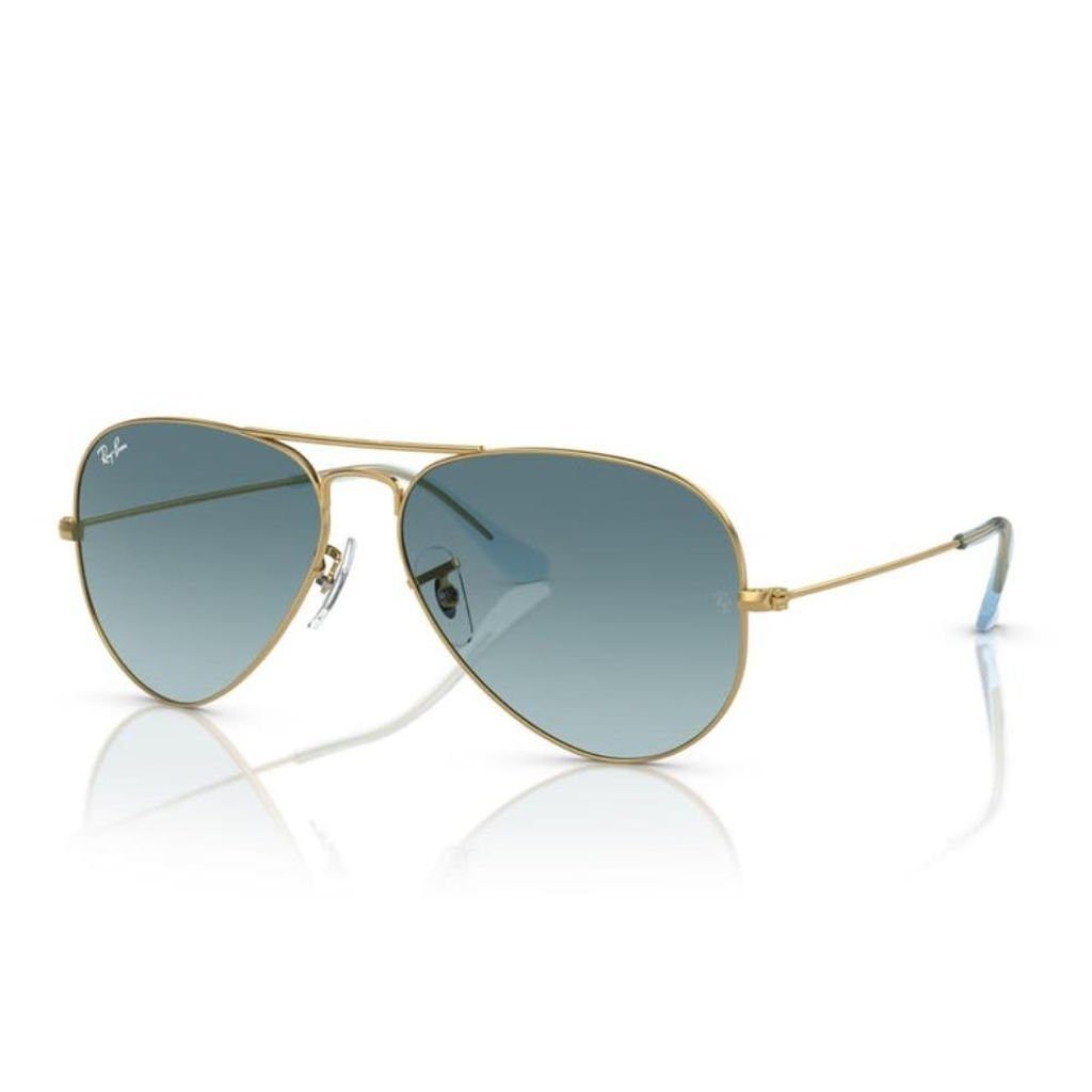 Ray-Ban RB 3025 001/3M 55 Erkek Güneş Gözlüğü