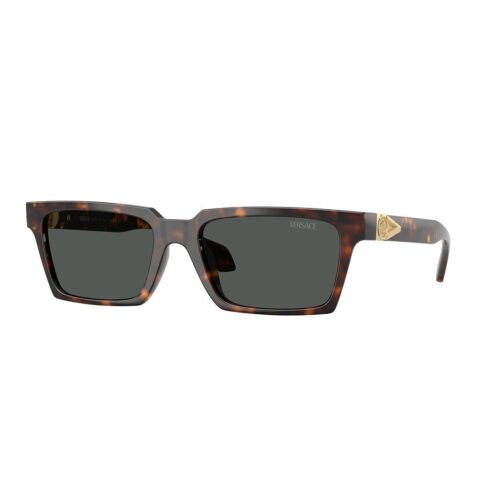 Versace VE 4490U 108/87 55 Erkek Güneş Gözlüğü