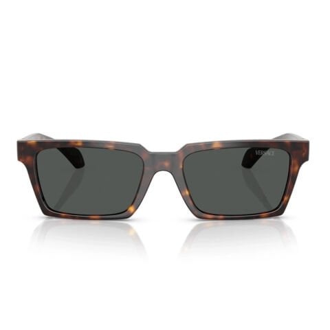 Versace VE 4490U 108/87 55 Erkek Güneş Gözlüğü