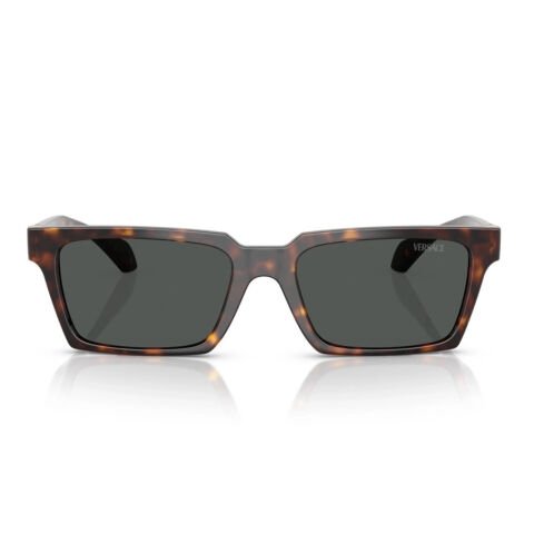 Versace VE 4490U 108/87 55 Erkek Güneş Gözlüğü