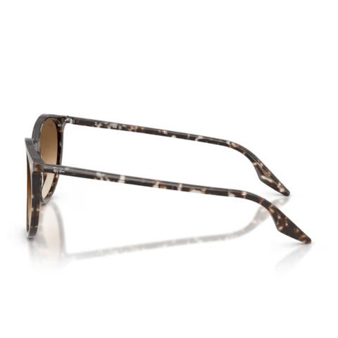 Ray-Ban RB 2204 143151 54 Unisex Güneş Gözlüğü