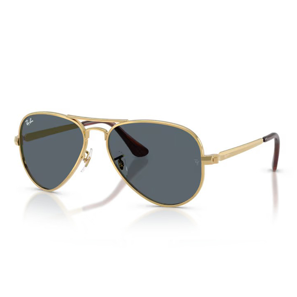 Ray-Ban RB 3925 001/R5 58 Unisex Güneş Gözlüğü