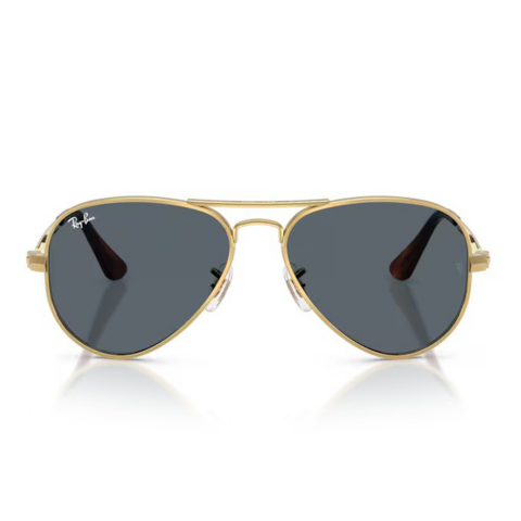Ray-Ban RB 3925 001/R5 58 Unisex Güneş Gözlüğü