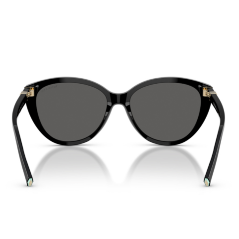 Tiffany&Co. 0TF4251 8001S4 56 Kadın Güneş Gözlüğü