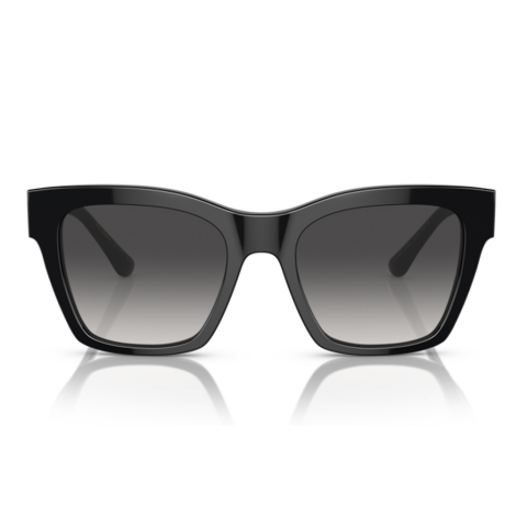 Dolce & Gabbana DG 4384 501/8G 53 Kadın Güneş Gözlüğü