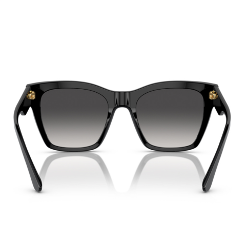 Dolce & Gabbana DG 4384 501/8G 53 Kadın Güneş Gözlüğü