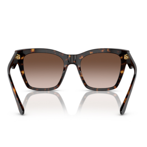 Dolce & Gabbana DG 4384 502/13 53 Kadın Güneş Gözlüğü