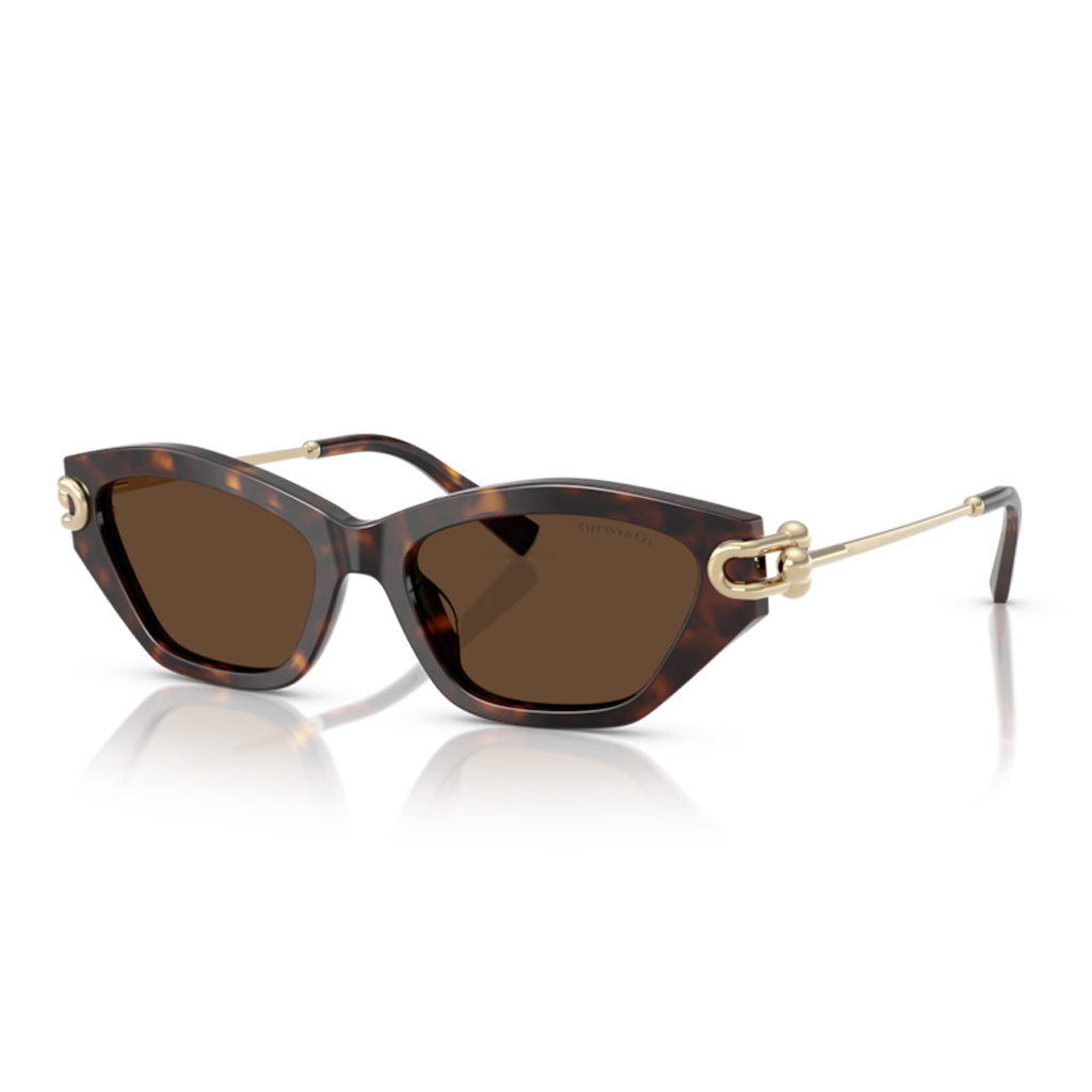 Tiffany&co. 0TF4231U 80153G 53 Kadın Güneş Gözlüğü