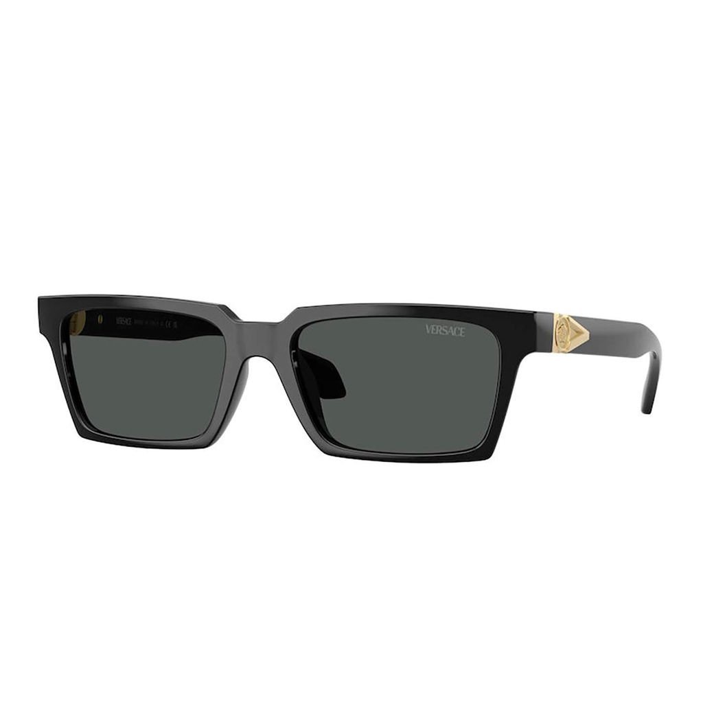 Versace VE 4490U GB1/87 55 Erkek Güneş Gözlüğü