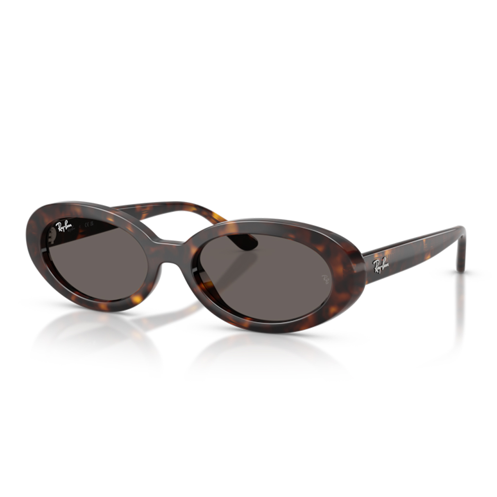 Ray-Ban RB 2223 902/B1 54 Kadın Güneş Gözlüğü