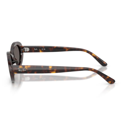 Ray-ban RB 2223 902/B1 54 Kadın Güneş Gözlüğü