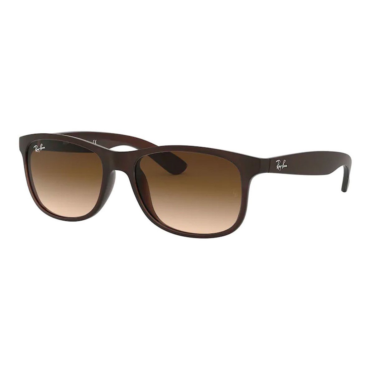 Ray-Ban RB 4202 607313 55 Erkek Güneş Gözlüğü