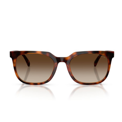 Vogue VO 5715SI W65613 54 Erkek Güneş Gözlüğü