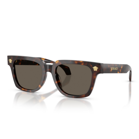 Versace VE 4510U 108/3 52 Erkek Güneş Gözlüğü