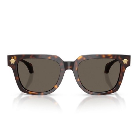 Versace VE 4510U 108/3 52 Erkek Güneş Gözlüğü