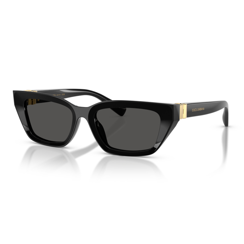 Dolce & Gabbana DG 4532 501/87 53 Kadın Güneş Gözlüğü