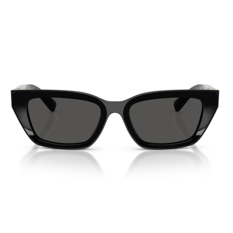 Dolce & Gabbana DG 4532 501/87 53 Kadın Güneş Gözlüğü