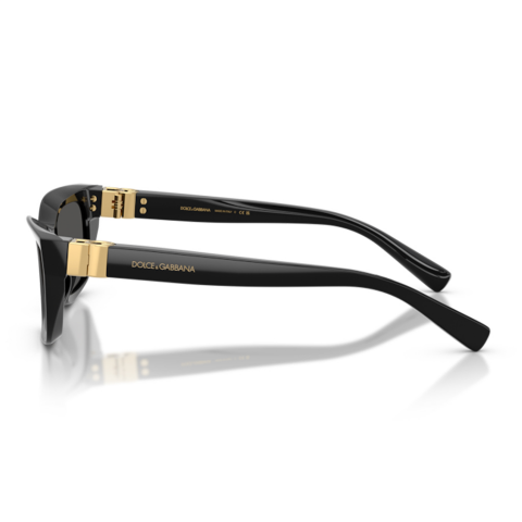 Dolce & Gabbana DG 4532 501/87 53 Kadın Güneş Gözlüğü