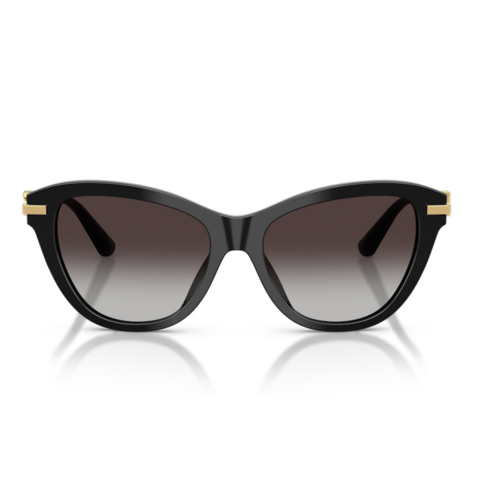 Dolce & Gabbana DG 4534 501/8G 53 Kadın Güneş Gözlüğü