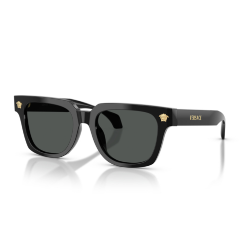 Versace VE 4510U GB1/87 52 Erkek Güneş Gözlüğü