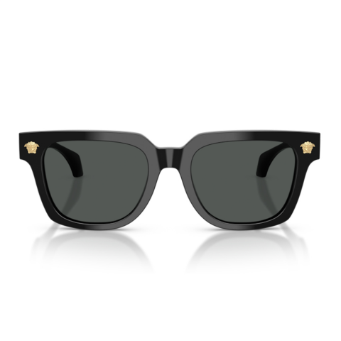 Versace VE 4510U GB1/87 52 Erkek Güneş Gözlüğü