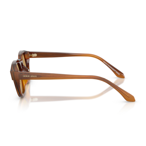 Giorgio Armani AR 8254U 616373 48 Kadın Güneş Gözlüğü