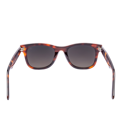 Montier Paris 1001 C2 Unisex Güneş Gözlüğü