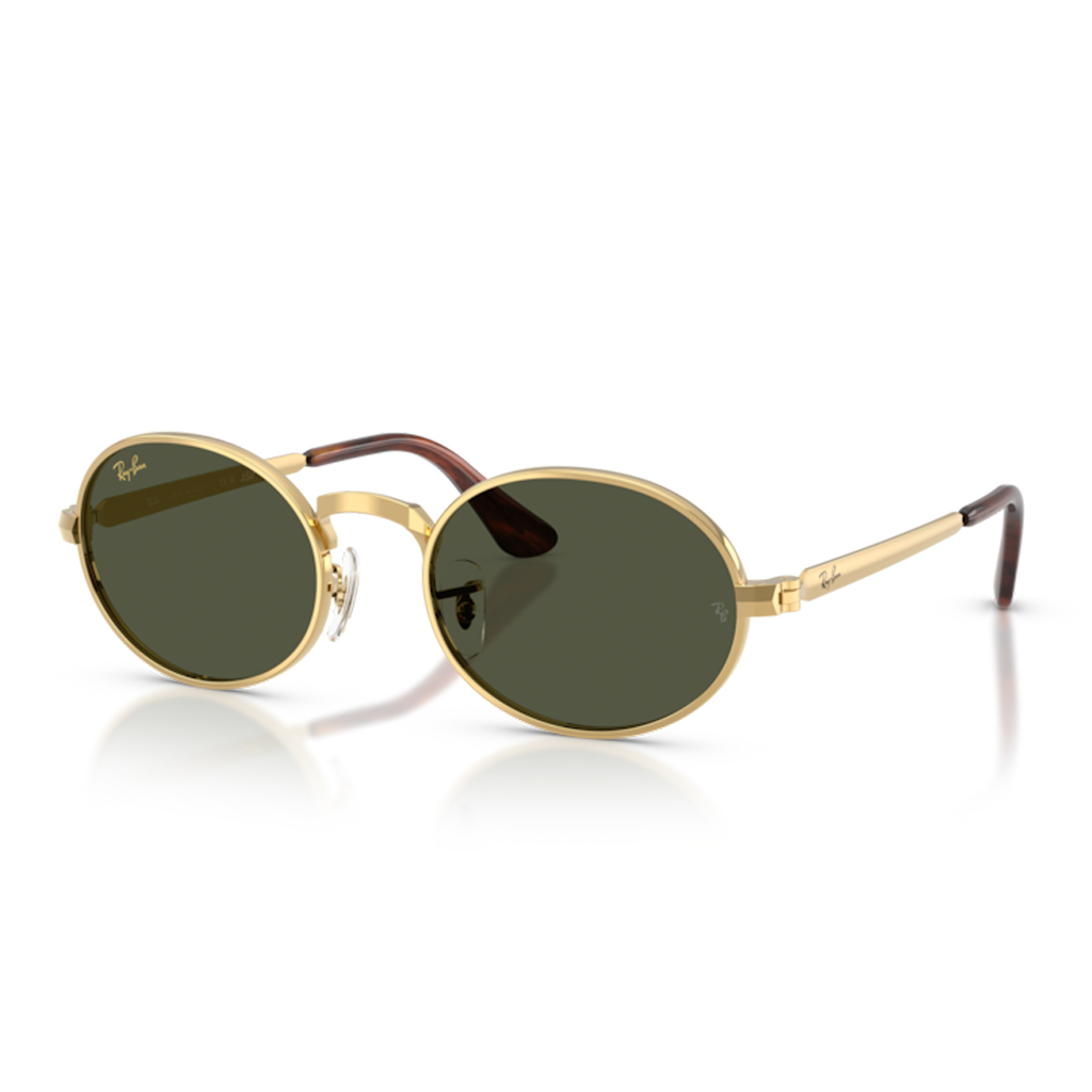 Ray-Ban RB 3931 001/31 54 Unisex Güneş Gözlüğü