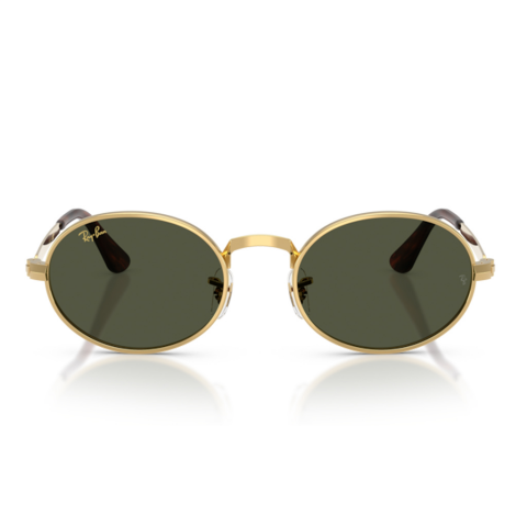 Ray-Ban RB 3931 001/31 54 Unisex Güneş Gözlüğü