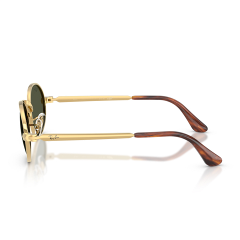 Ray-Ban RB 3931 001/31 54 Unisex Güneş Gözlüğü