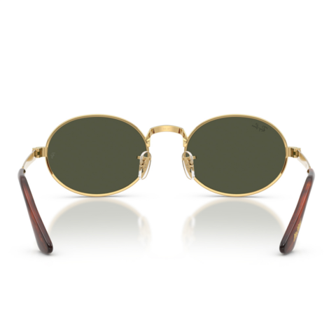 Ray-Ban RB 3931 001/31 54 Unisex Güneş Gözlüğü