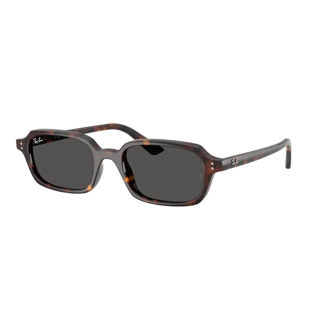 Ray-Ban RB 4455 135987 49 Unisex Güneş Gözlüğü