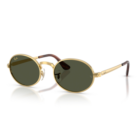 Ray-Ban RB 3931 001/56 54 Unisex Güneş Gözlüğü