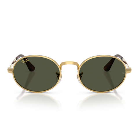 Ray-Ban RB 3931 001/56 54 Unisex Güneş Gözlüğü