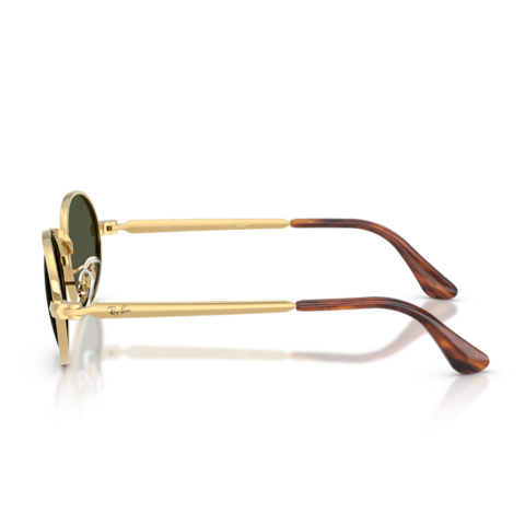 Ray-Ban RB 3931 001/56 54 Unisex Güneş Gözlüğü