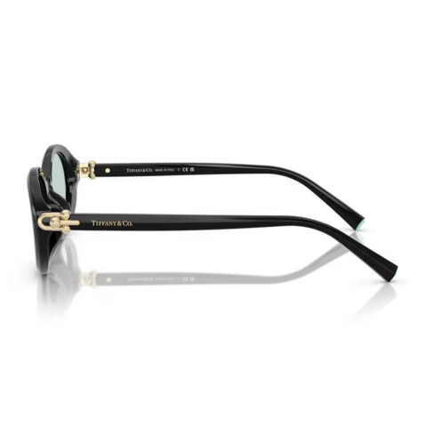 Tiffany&co. 4242D 8001D9 54 Kadın Güneş Gözlüğü