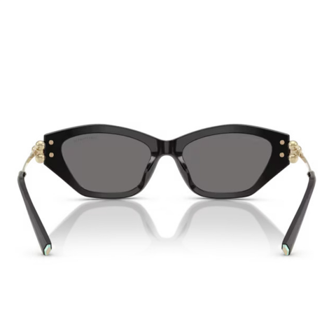 Tiffany&co. 0TF4231U 800181 53 Kadın Güneş Gözlüğü