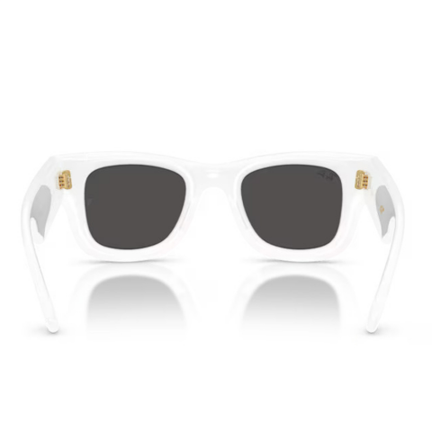 Ray-ban x Asap Rocky RB 4940 671/87 50 Unisex Güneş Gözlüğü