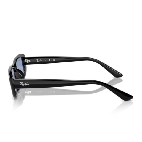 Ray-ban RB 4436D 667772 55 Unisex Güneş Gözlüğü