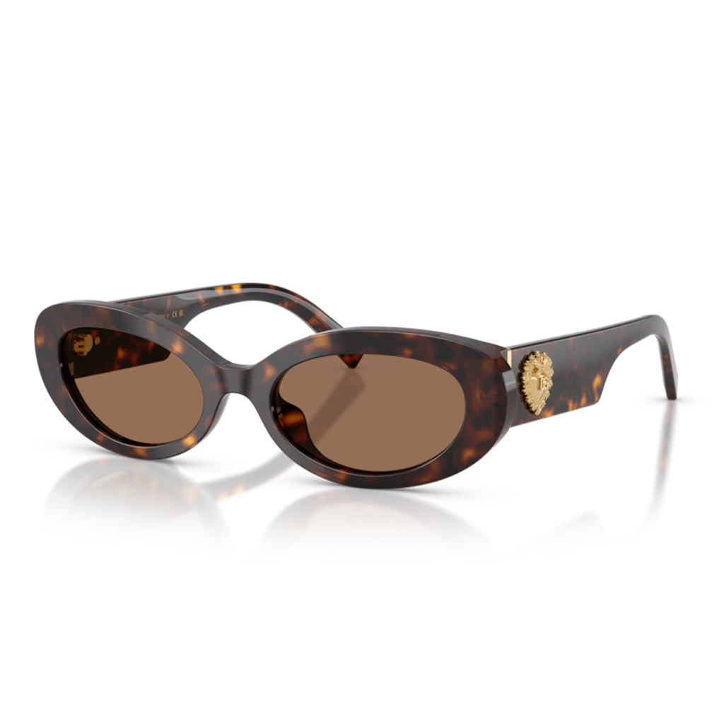 Dolce & Gabbana DG 4537 502/73 53 Kadın Güneş Gözlüğü