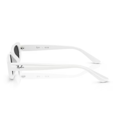 Ray-ban RB 4441D 677287 53 Unisex Güneş Gözlüğü