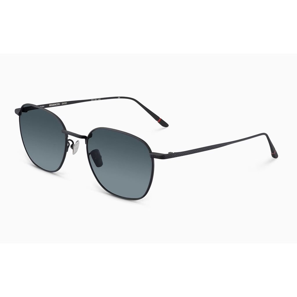 Etnia Barcelona REGENC BKRD 53 Unisex Güneş Gözlüğü