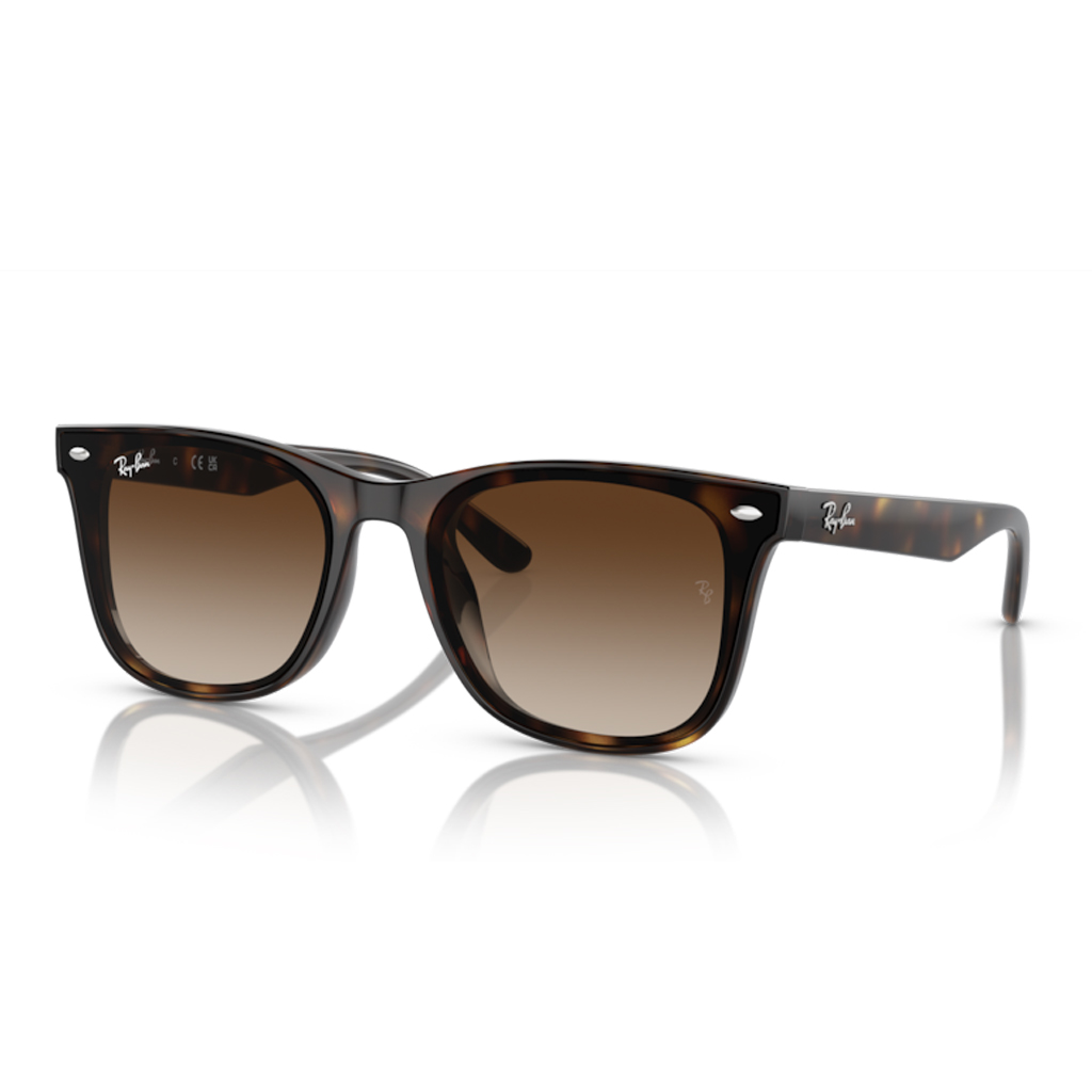 Ray-Ban RB 4420 710/13 65 Unisex Güneş Gözlüğü