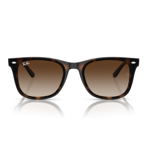 Ray-Ban RB 4420 710/13 65 Unisex Güneş Gözlüğü