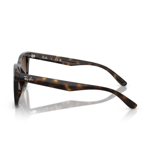 Ray-Ban RB 4420 710/13 65 Unisex Güneş Gözlüğü