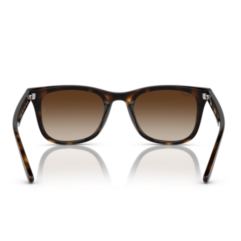 Ray-Ban RB 4420 710/13 65 Unisex Güneş Gözlüğü