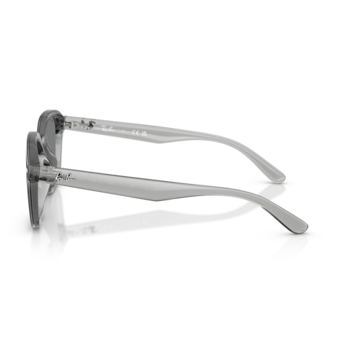 Ray-Ban RB 4458D 645087 65 Unisex Güneş Gözlüğü