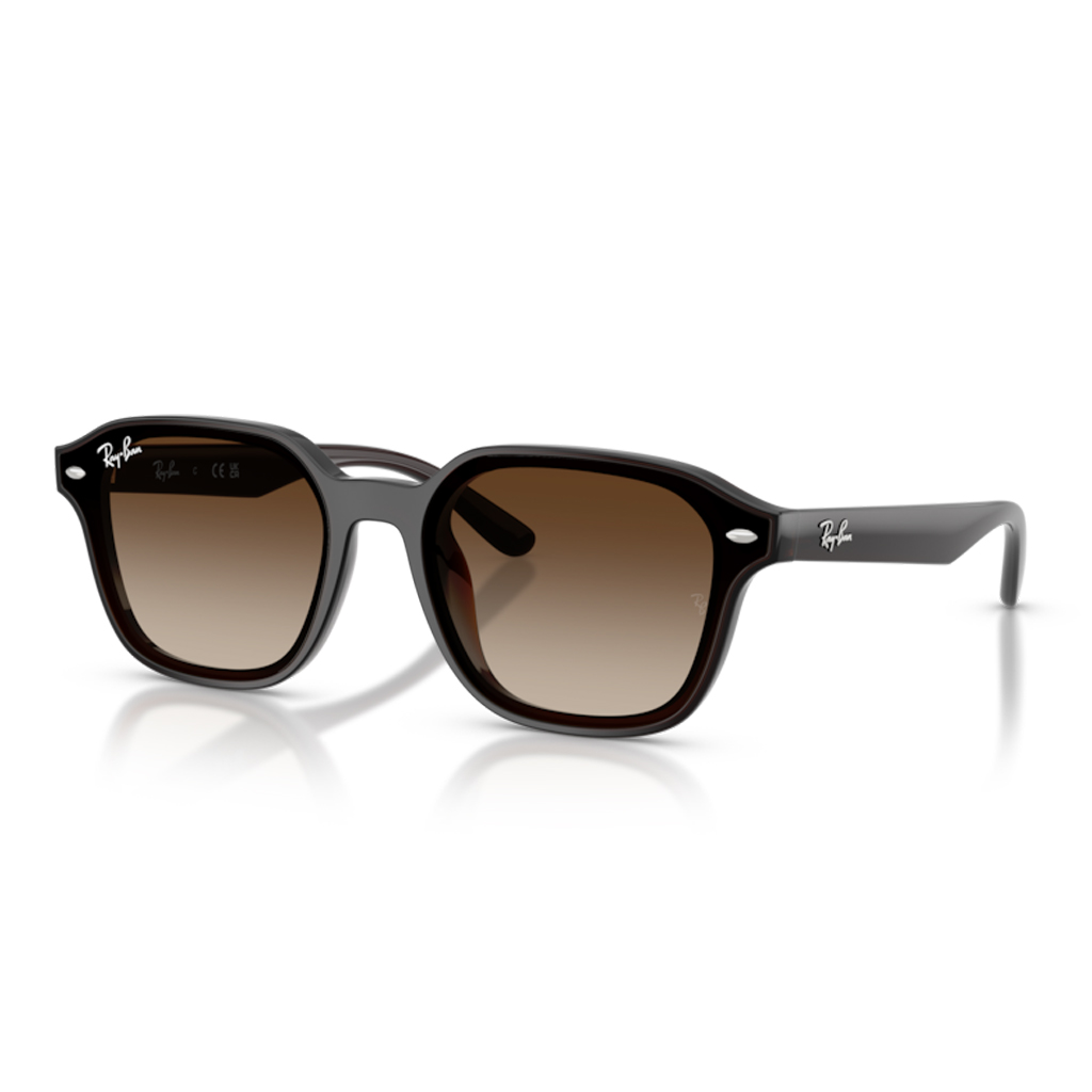 Ray-Ban RB 4458D 714/13 65 Unisex Güneş Gözlüğü