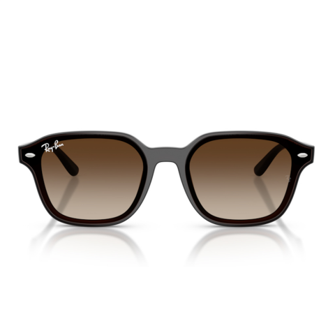 Ray-Ban RB 4458D 714/13 65 Unisex Güneş Gözlüğü