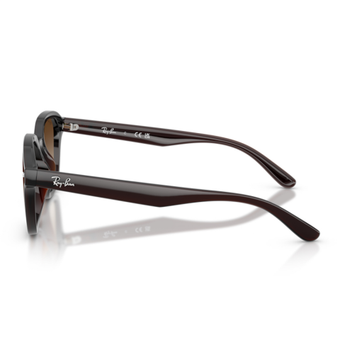 Ray-Ban RB 4458D 714/13 65 Unisex Güneş Gözlüğü